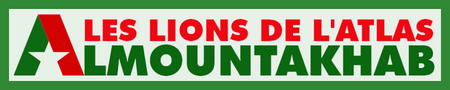 les lions de l'atlas